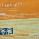잇딜라잇