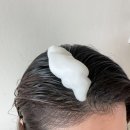 강화줌마 | 닥터토비아 헤어 인핸싱 폼 두피에센스 모발 강화 후기