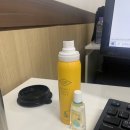 쪽땡 | 36. 바이오리듬 찾고 바로 쪽땡출근..