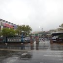 탈해왕릉 이미지