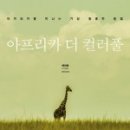 케이컬러풀