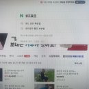 자가출판 방법, 요리 레시피 책제작까지 해본 리얼후기
