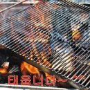 파인트리캠핑장 이미지