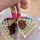 반려식물 교실 참여 후기 서울시 농업 기술센터 다육이 아트
