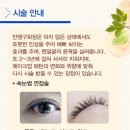 이은영뷰티라인