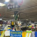 속초 회포장 속초수산시장 140호 설악횟집 우럭 후기