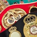 WBC · WBA · IBF, 17개 체급 명칭 통일 이미지