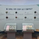 곤충생태전시관 네이버블로그