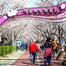 낙동제방길-1 이미지