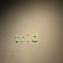 트리드 | 트리드 디너 후기 + 페어링