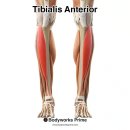 뉴데이짐 PT 이미지