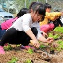 비인초등학교 이미지