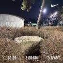 궁 노래연습장업 | 2026 week 11 체크메이트