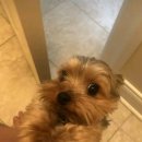 안녕하세요 이미지