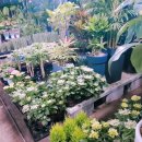 광명농원 이미지