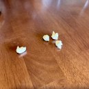 우정팜 | 경주 일박이일 여행 추천 코스 우정 친구랑 데이트 가족 아이랑 가볼만한곳 솔직 방문 후기 기록