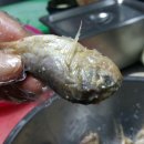 독천낭주골 이미지