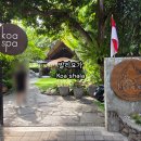 내몸을 깨우는 힐링요가(오전) B | 발리요가 사누르 Koa Shala 후기 다이버의 액티브 힐링 체험기