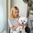 카페콤피 이미지