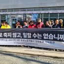 마루사이주 이미지