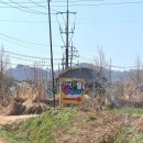 츄츄애견 | 인천 애견카페 | 초록에 물든 주말, 작은 숲속, 자연...인천애견운동장, [다남숲멍빌리지] 에 다녀온 후기