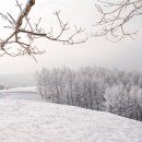 원두막목장 이미지