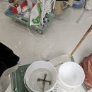 미용실콩