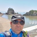 해파랑길 13코스 2km+12코스(일출암~양포항~감포항) 역방향 2025.07.26(토) 이미지