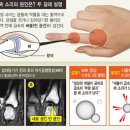 바라카트