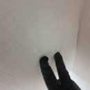 파크빌 | 서울시 서대문구 독립문파크빌 아파트 입주청소 후기