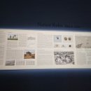 들꽃으로 표현하는 압화(Ⅰ) | 3월 서울 전시 추천 | 서울시립미술관 <최재은 : 약속> 전시 해설 및 후기