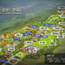 청와대목장 | 아산 가볼만한곳 2023피나클랜드 가을꽃 축제 삼천만송이 국화꽃 향기 기간 예약 요금 코스 주차장 카페...