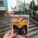 도안수학