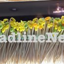 2021년 7월 20일 화요일 HeadlineNews 이미지