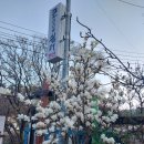 큰어리골 쉼터 이미지