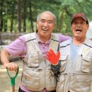 주식회사 남이섬 이미지