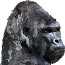 고릴라 이미지