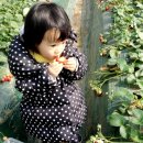 덕산기 농장 이미지