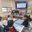 장수천변(청소년 수련관앞) | [공지] 수원 정자지역 초등학교 창의수학 두꺼비를 피해라 테이크댓 보드게임 반전 카드의 놀라운 힘