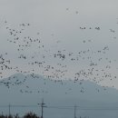석모도바람길 이미지