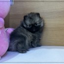 (주)리드덴탈 이미지