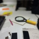 구암동481 | (체험학습) 국립중앙과학관 자연사관 체험해설 후기