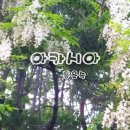 여주고등학교 이미지