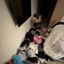 아연카랜드 이미지