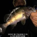 그린낚시 이미지