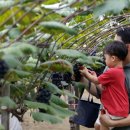 관성회관야외공연장 이미지