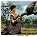 밀밭에서 이미지