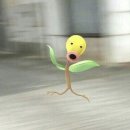 영서네 이미지