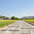 하천(대전천2) 이미지