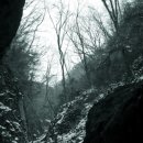 신성세탁소 이미지